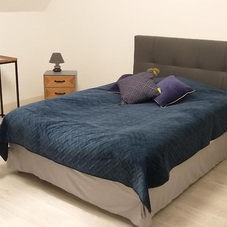 Le Gite Au Pied Du Chateau De Chaumont Esterno foto